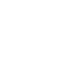 Leonardo